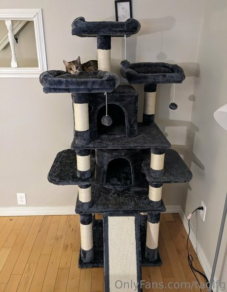 taglfg star xxx gallery