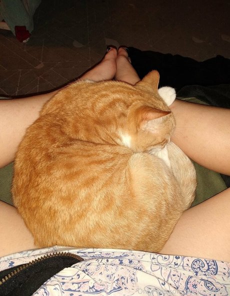 aprilrose1992 pornstar hd picture