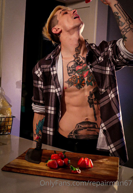 repairman67 nice model img