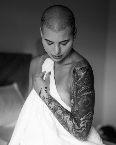 steves end star beautiful pictures