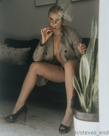 steves end adult star images