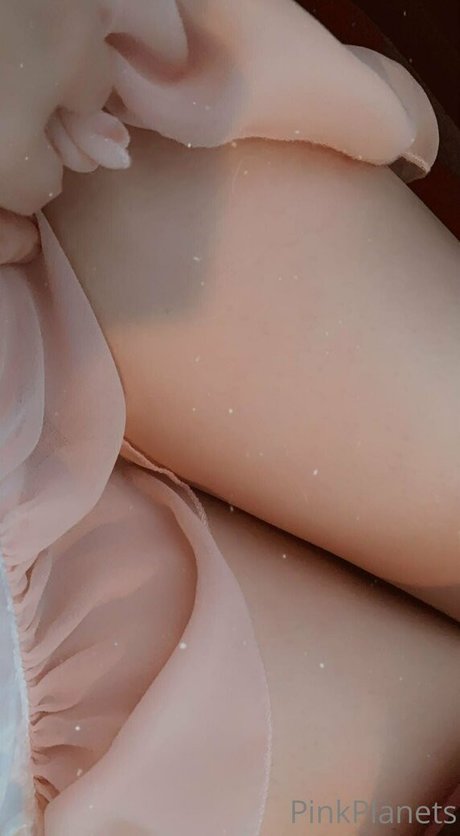 PlanetPlayBunny model top images