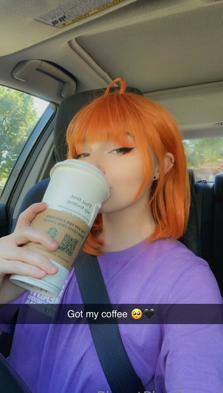 PlanetPlayBunny best star images