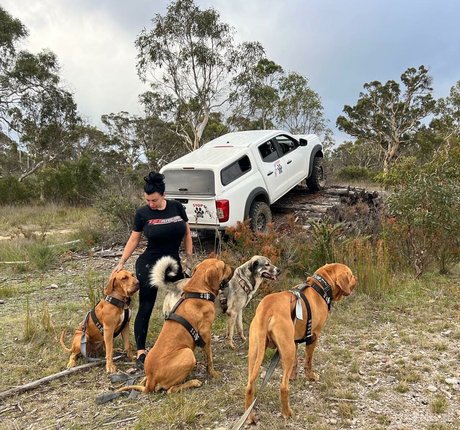 lydiarotary best model img