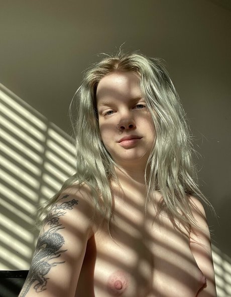 Thesilvermoon top pornstar galleries