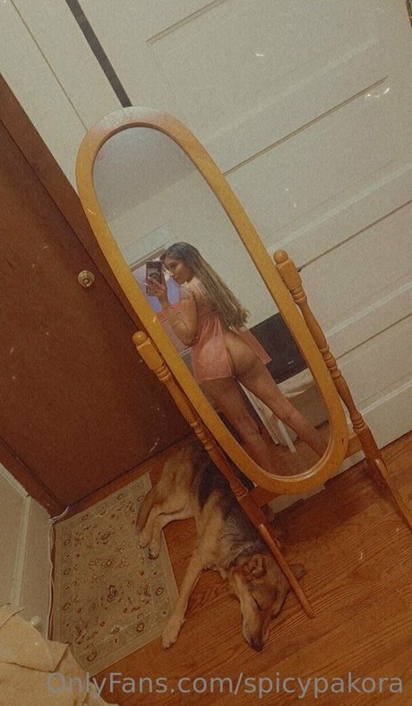 Spicypakora free model images