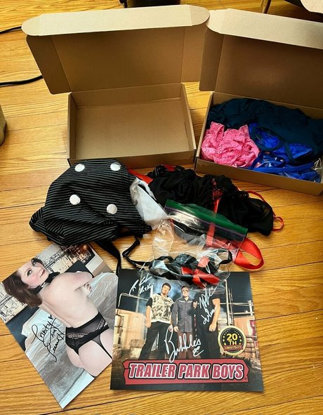 jeannaharrison art star img