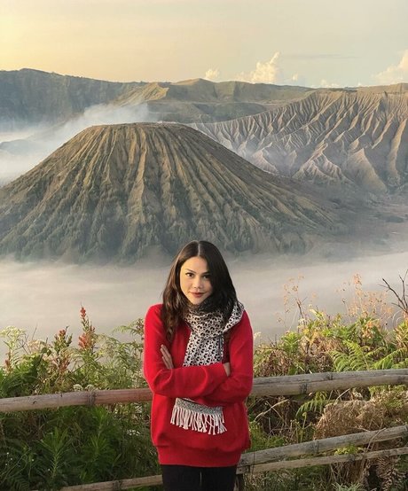 Djbutterfly36 star high quality picture