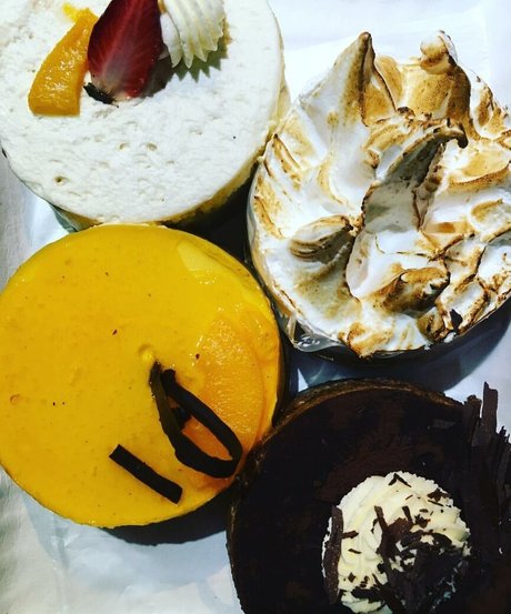 Acronopia model best images