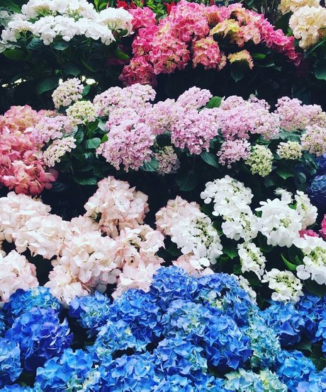 chubby latina teen onlyfans beautiful xxx img