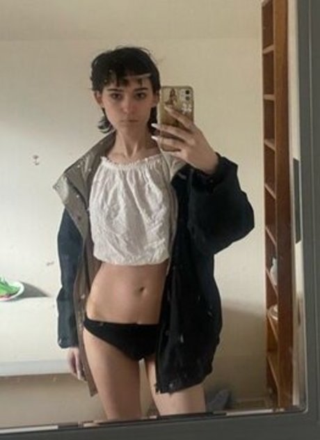 Dyremarxx hd model picture