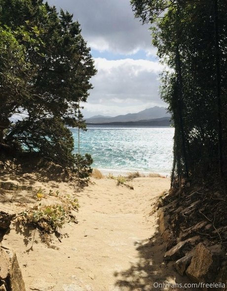 freeleila art model image