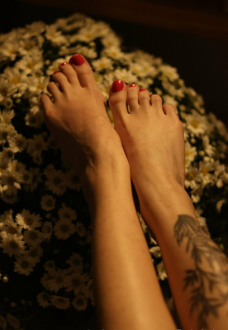 fleivinha star exclusive gallery