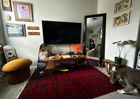 curvy girls onlyfans sex photo