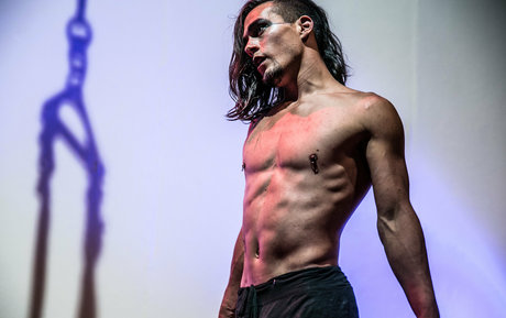 kinkyninjawolf star sex gallery