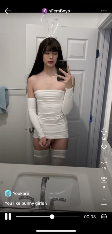 yookarii3 best model img