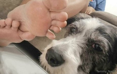 kelita val xxx star pictures