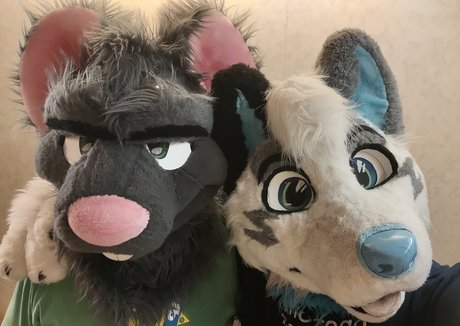 ad dragonwolf model top pictures