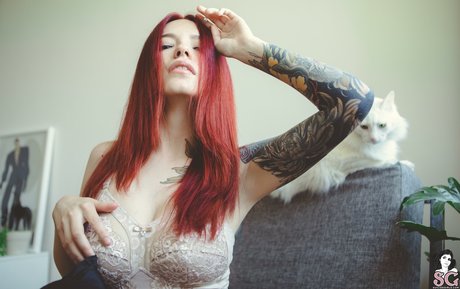 Cvrmillv star exclusive img