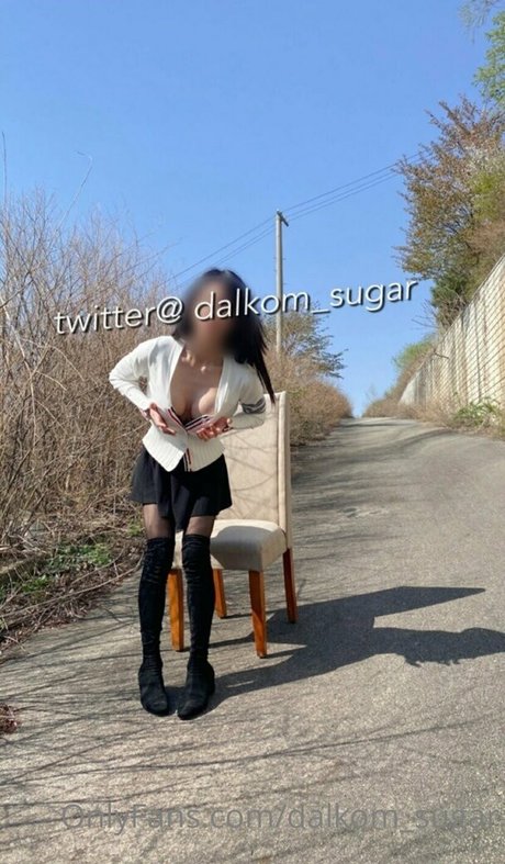 Dalkom sugar star nude galleries