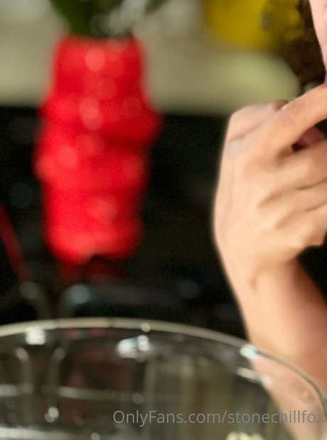 stonechillfox star top archive