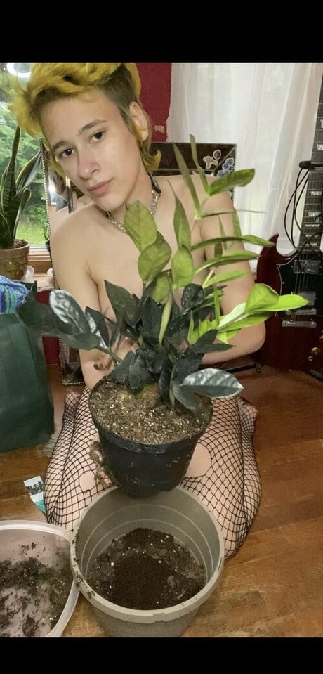 punkfrog nude pornstar image