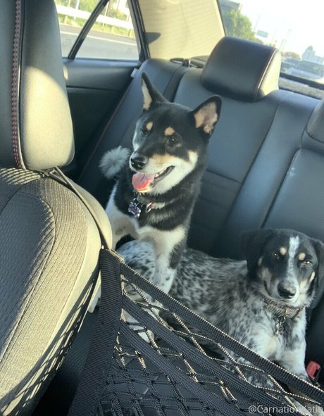 black male onlyfans hot porn archive