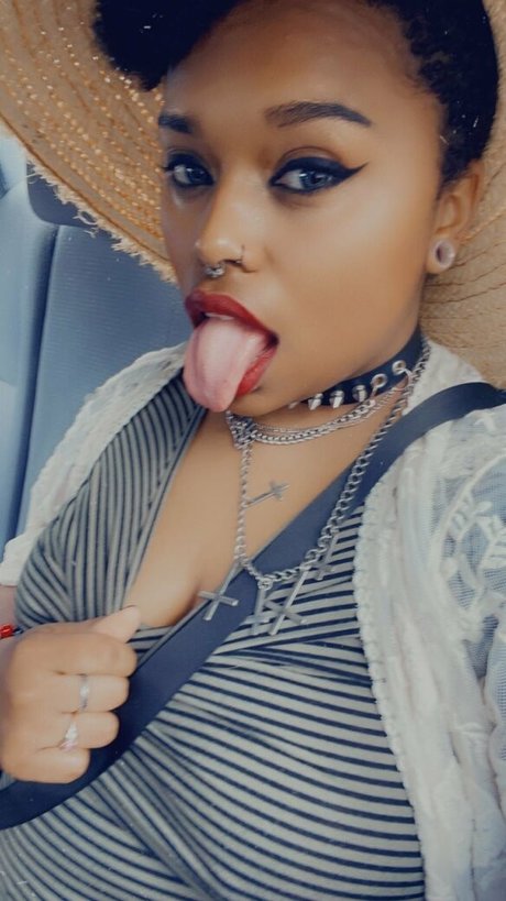 jewel kitten perfect star archive