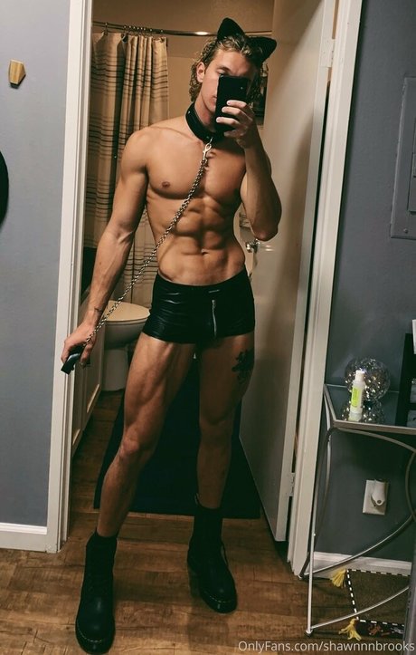 shawnnnbrooks art model image