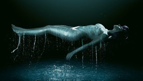 aero cat star art archive