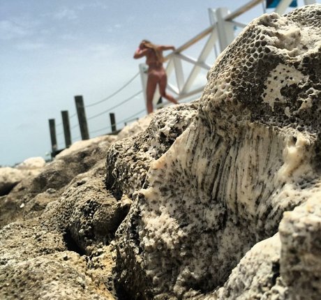 college student onlyfans free naked picture