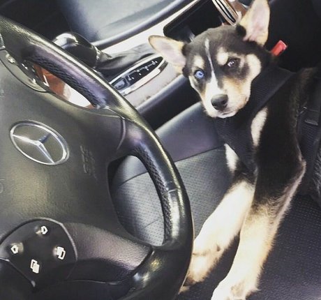 Kimi McFarland hd star img