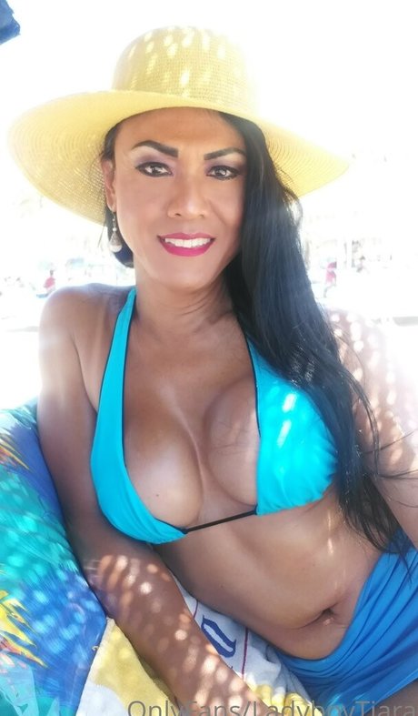 ladyboytiara art actress galleries