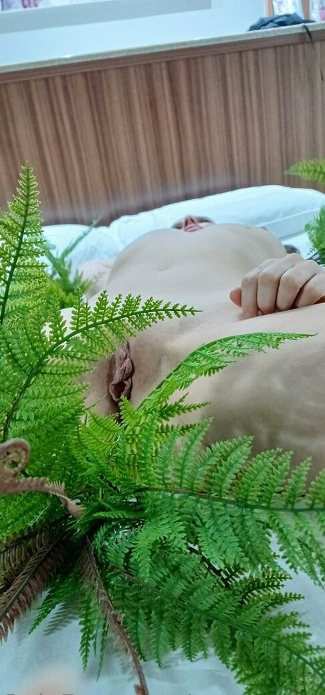 evamoderninha star exclusive img