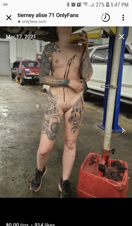 Barrel racer71 perfect star image