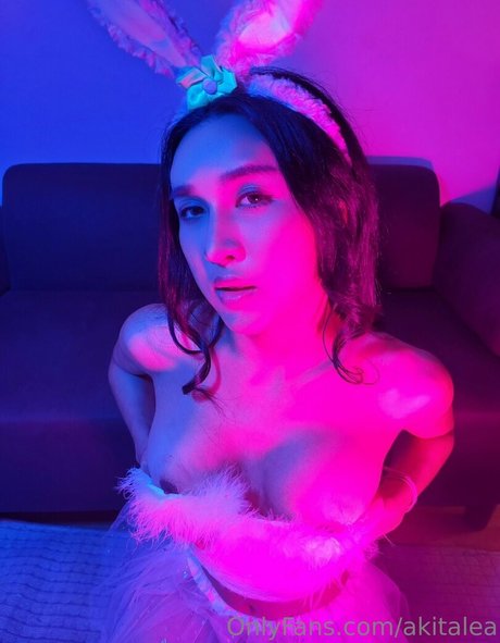 akitalea star art galleries