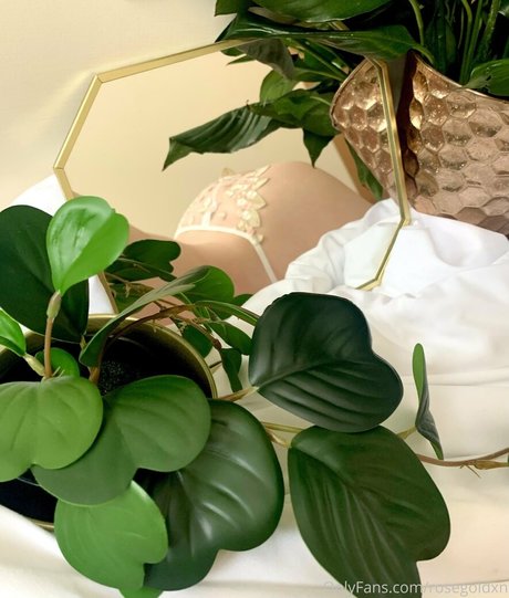 rosegoldxn pornstar top images