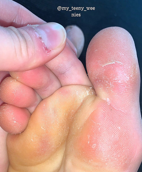 my teeny weenies top star archive