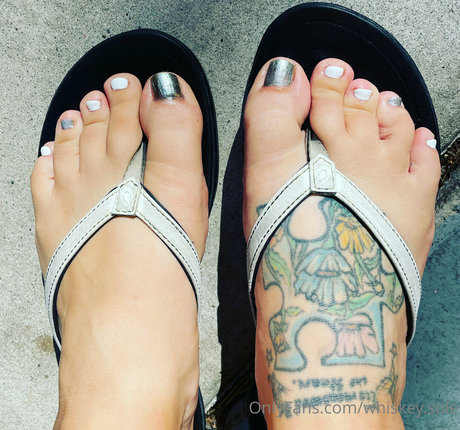 whiskey sole nice star photo