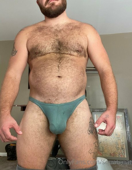 squatgnat hd model archive