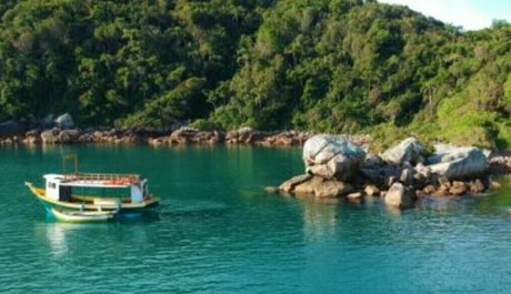 biabrasil star best image