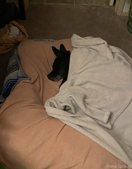 tiny onlyfans sexy nudes pics