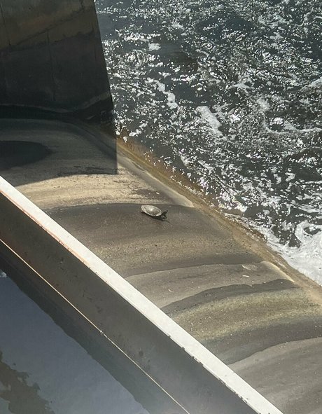 goth onlyfans sex pics