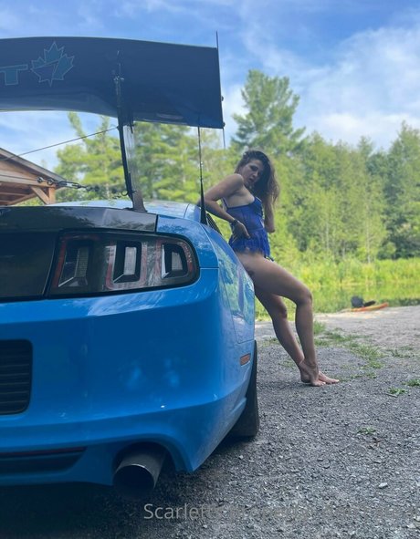 violet scarlet star hd pic