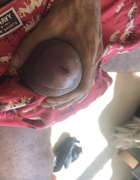 thefackelmayer beautiful actress img