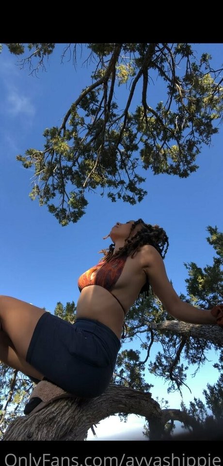 ayvashippie pornstar sexy picture