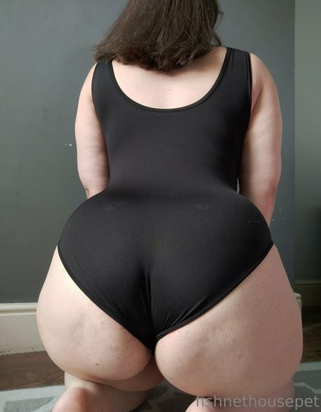 fishnethousepet star top pics