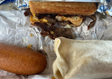 pudgypie nice model img