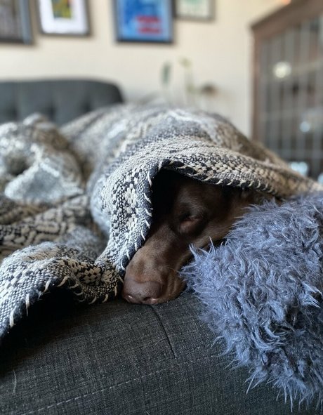 seitansm1stress star top pics