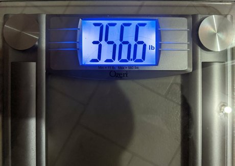 zadyas toybox art actress photos